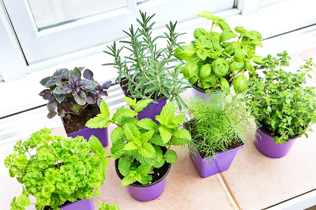 Indoor Herb Garden Kit Reddit - Indoor Herb Garden Diy Reddit