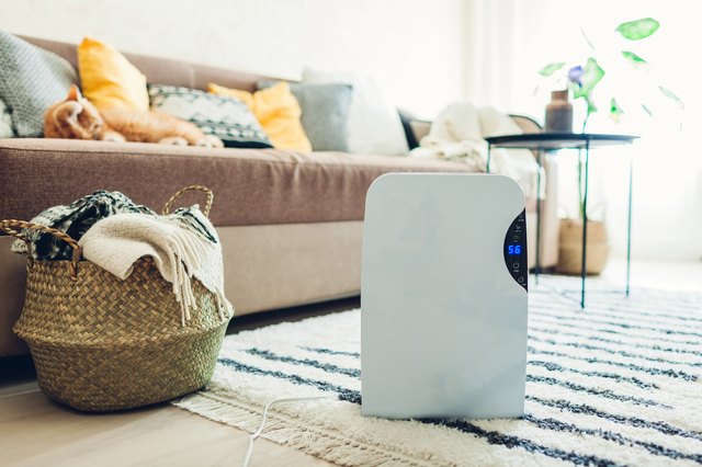 5 Diy Dehumidifiers To Reduce The Humidity In Your House Hunker