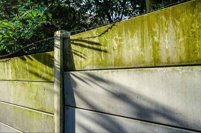 5-ways-to-get-rid-of-green-algae-on-cement-or-concrete-hunker