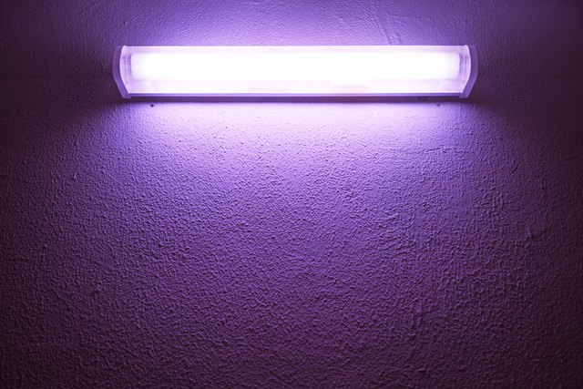 Uv on sale black light