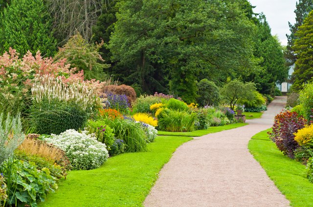 4 Best Ground Cover Options for Yards With Full Sun and Clay Soil | Hunker