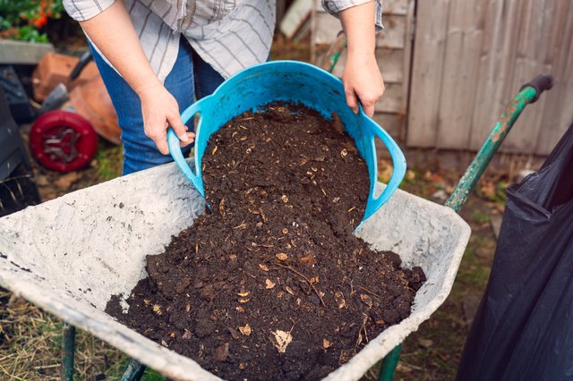 what-s-the-difference-between-compost-and-manure-hunker