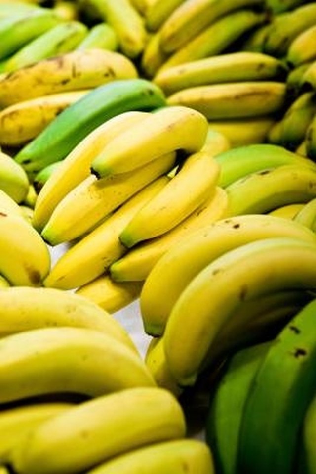 How to Grow Banana Trees in Texas | Hunker