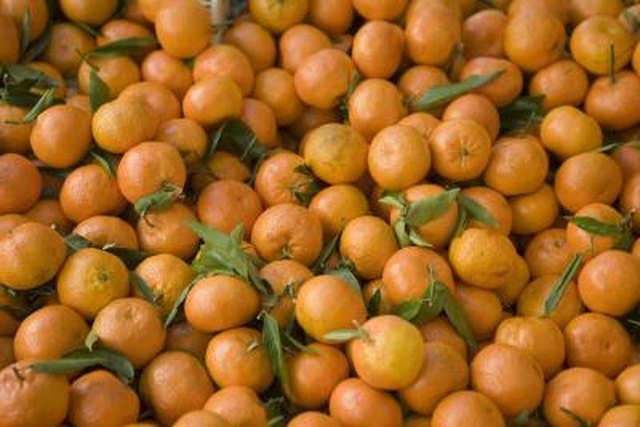 cuties oranges price