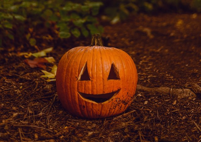 Why You Should Never Ever Throw Halloween Pumpkins in the Trash | Hunker