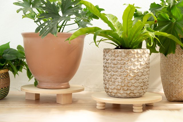 Plant Riser Diy Tutorial Hunker