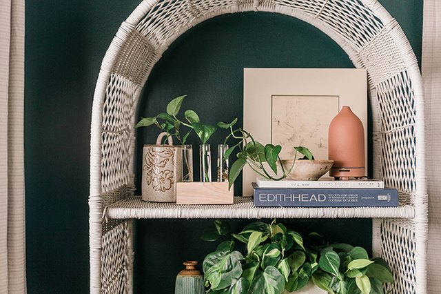 The Best Places to Shop for Plants Online