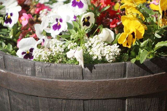 How to Arrange Flowers in a Wine Barrel Planter | Hunker