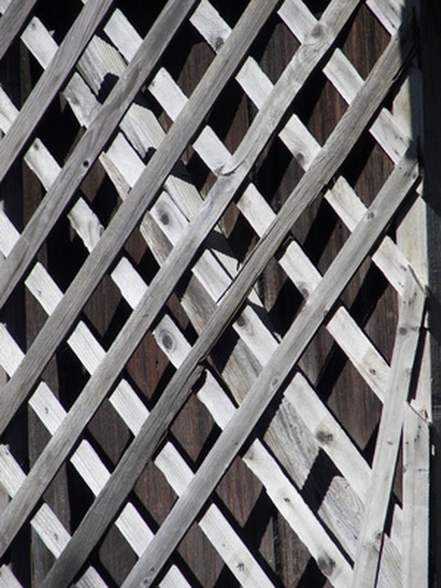 wooden lattice strips