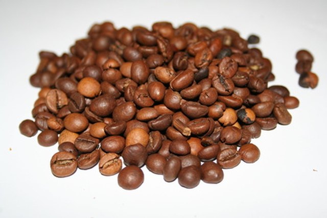 How to Grow Your Own Coffee Beans in Florida | Hunker