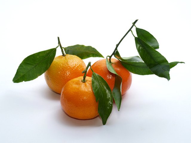 growing clementines from seed