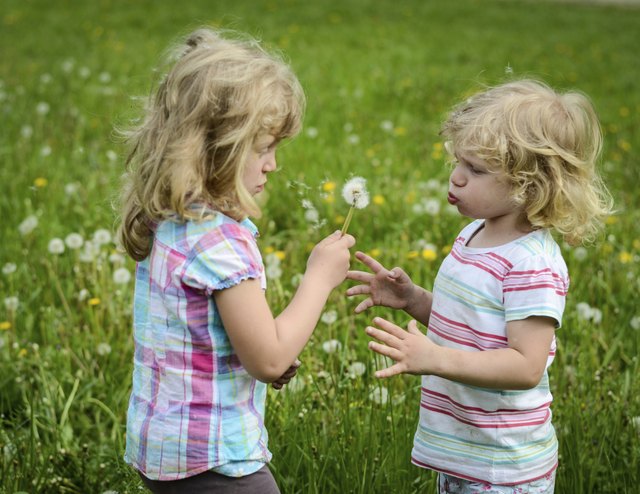 girls blowing a dandelion