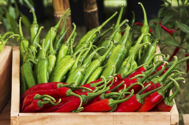 how-to-tell-when-banana-peppers-are-ripe-hunker