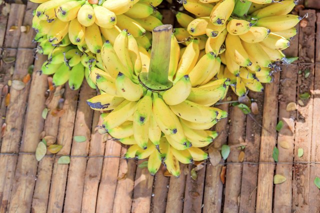Bunch of bananas