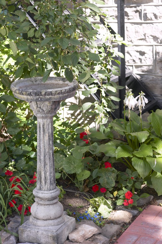 Birdbath in a garden