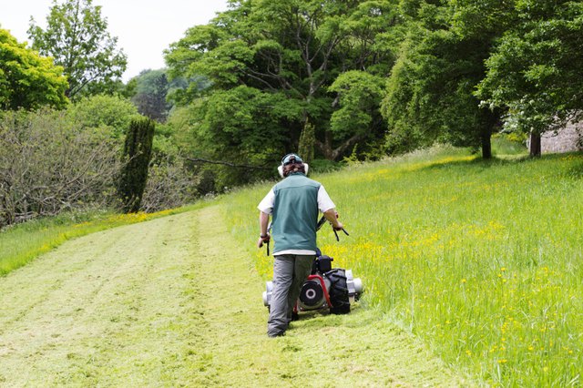 Mowing the lawn