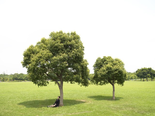Japanese bussiness woman sleeping in park