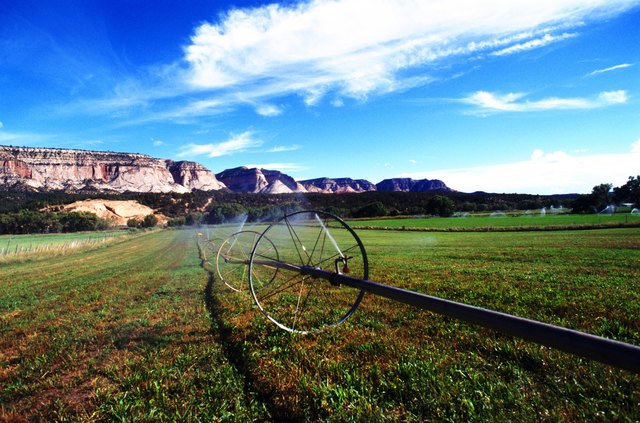 USA, Sprinkler wheels watering field