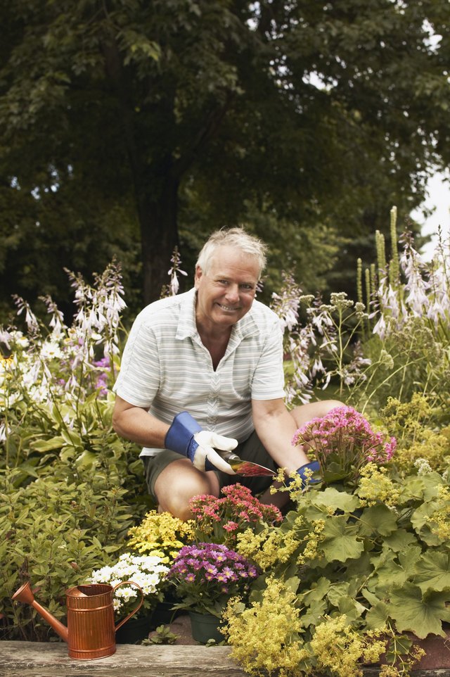 Man gardening