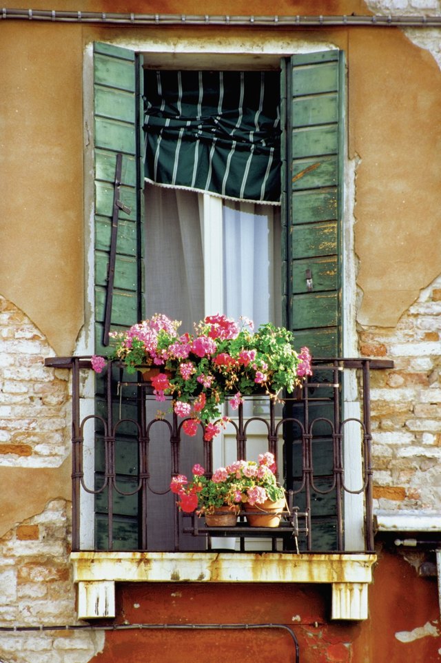 Flowers on the balcony of a house, Venice, Italy
