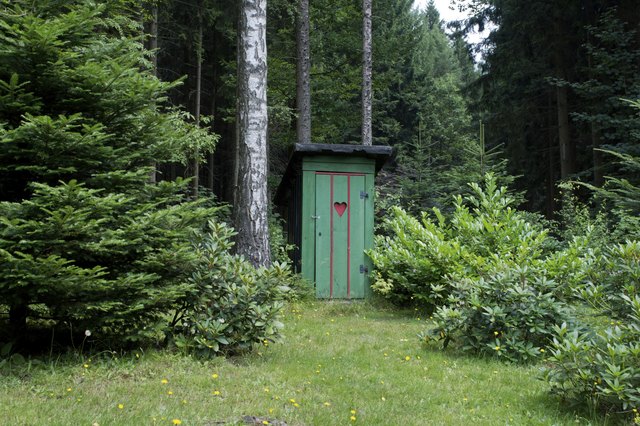 Old outhouse in the forest