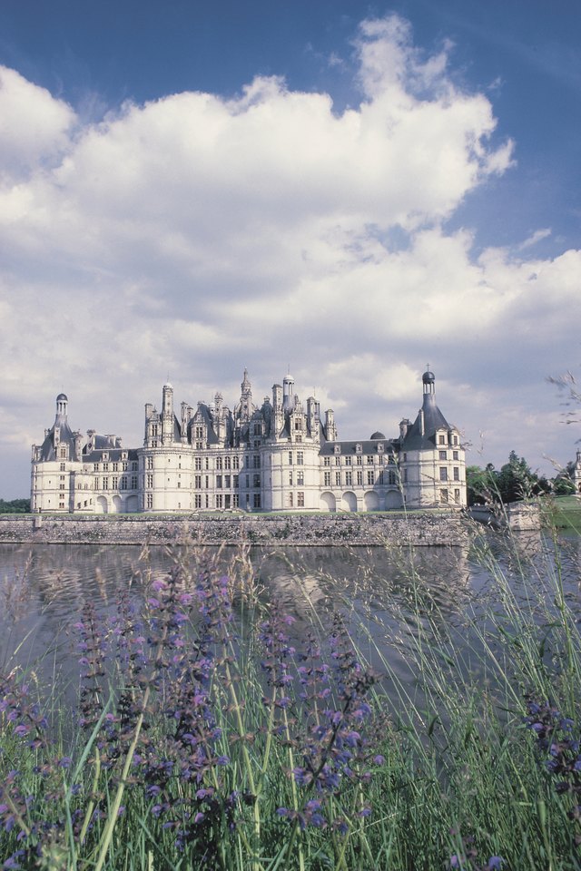 Shade-Tolerant Varieties of Lavender | Hunker