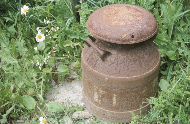 Antique milking can