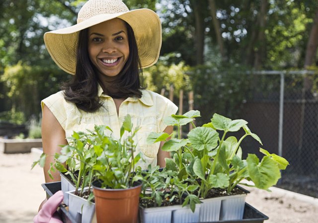 Woman gardening