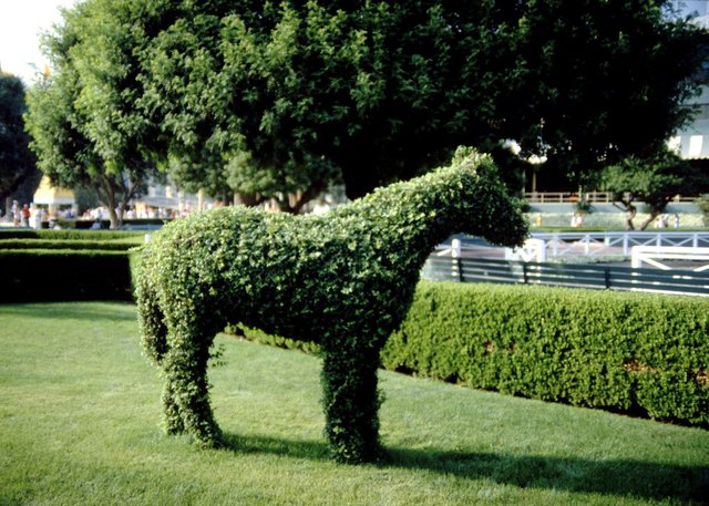 How to Make Animal Topiary Wire Frames | Hunker