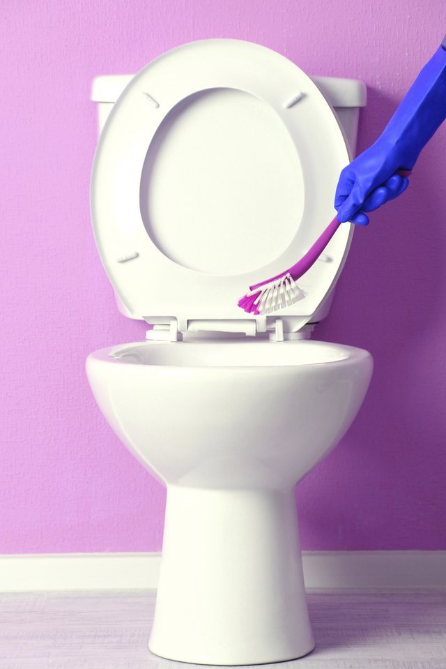 how-to-remove-toilet-bowl-stains-hunker