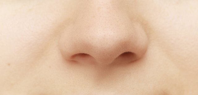 human nose