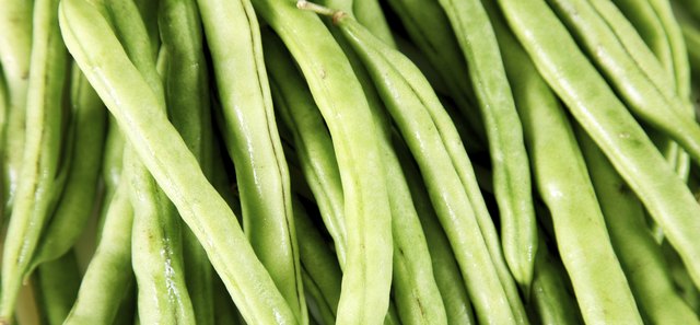 Green bean