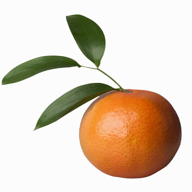 Close-up of an orange