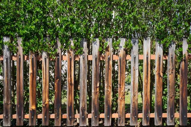 Old wooden fence