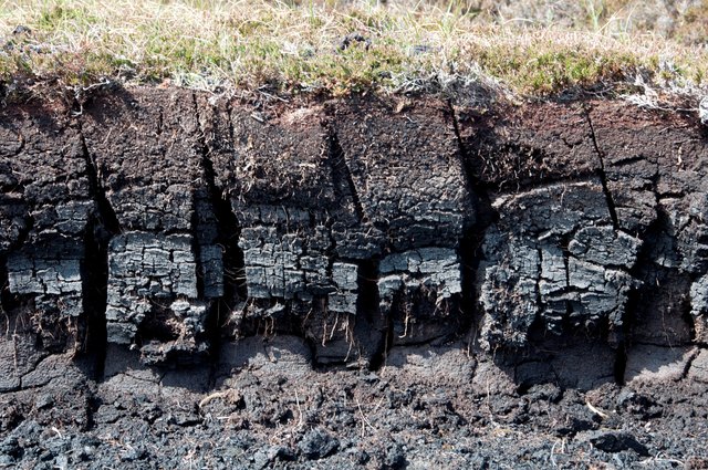 three-types-of-soil-particles-in-order-from-smallest-to-largest-hunker