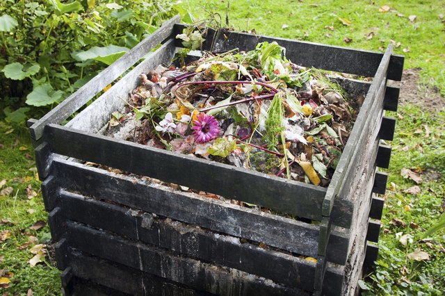 Compost bin