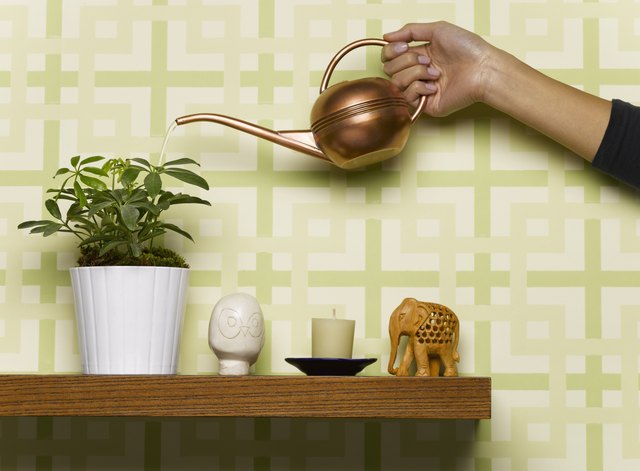 Woman watering pot plant