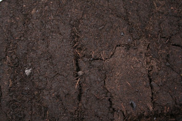 Humus - Fertile Organic Soil