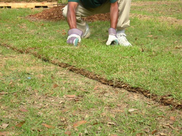 Sodding a Lawn