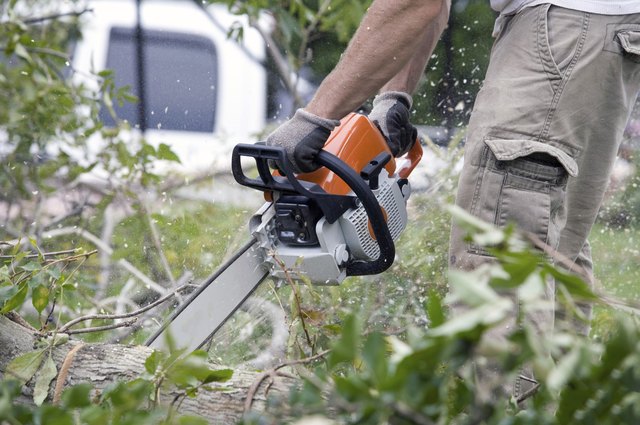 Chainsaw In The Forest