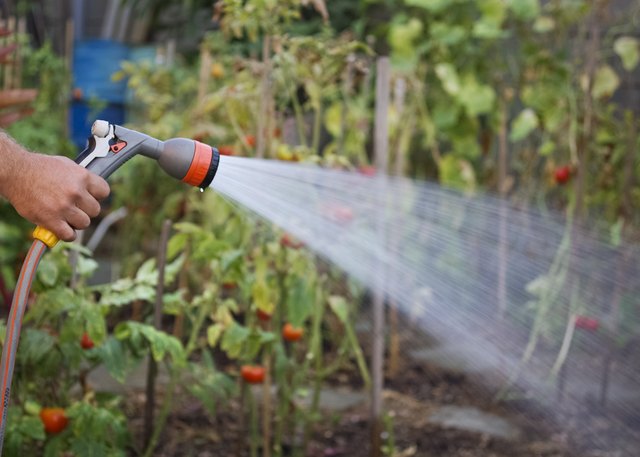 Watering garden