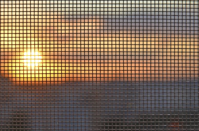 Sunset through the mosquito screen
