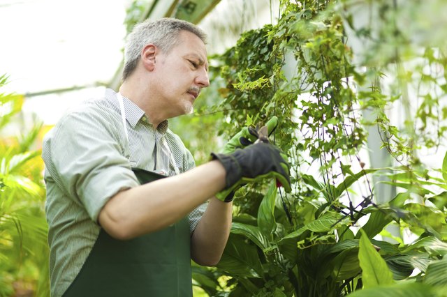 Gardener