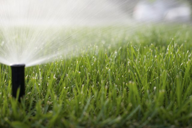 Grass Sprinkler