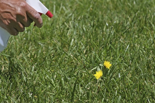 Kill Weeds