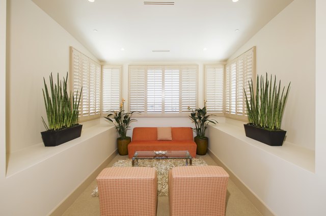 Interior with plants and furniture