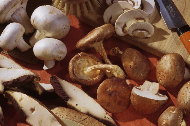 Assorted mushrooms for cooking
