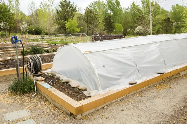 Urban garden