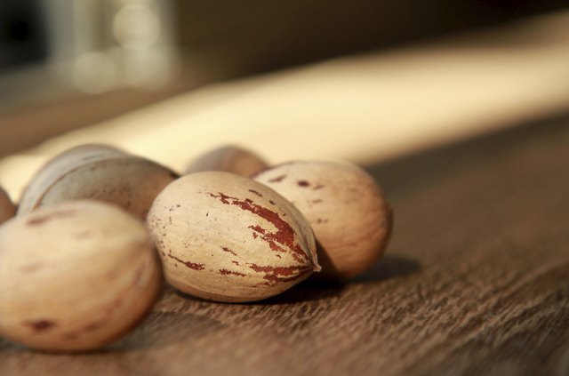 Pecan Nuts close up