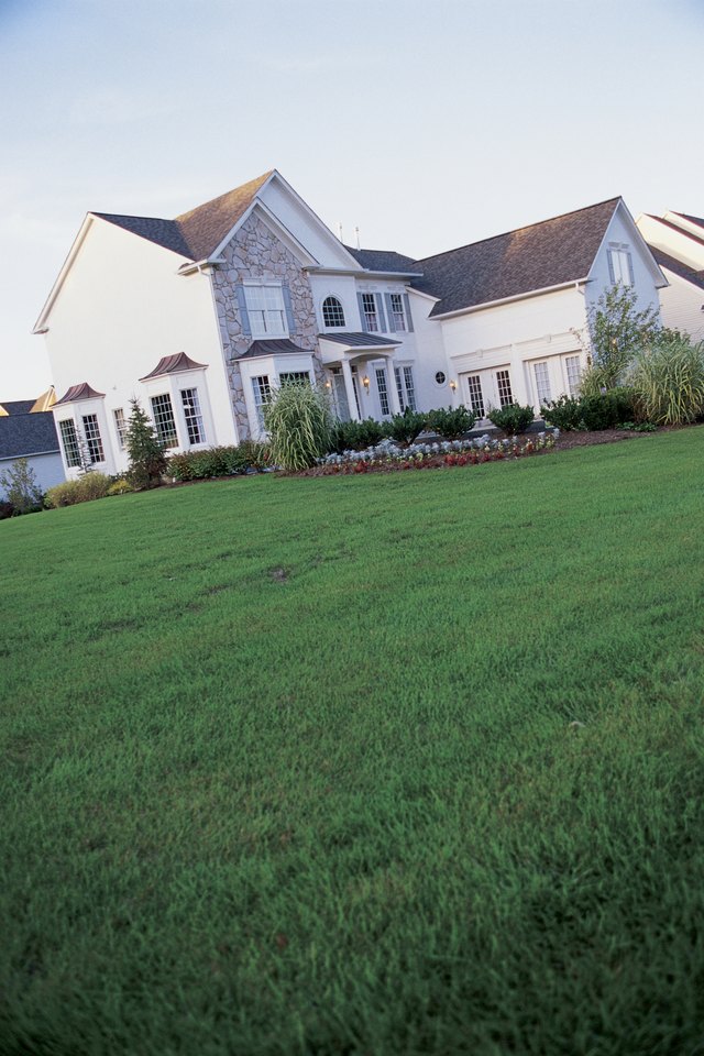 How Often Do I Put Milorganite on My Lawn? | Hunker